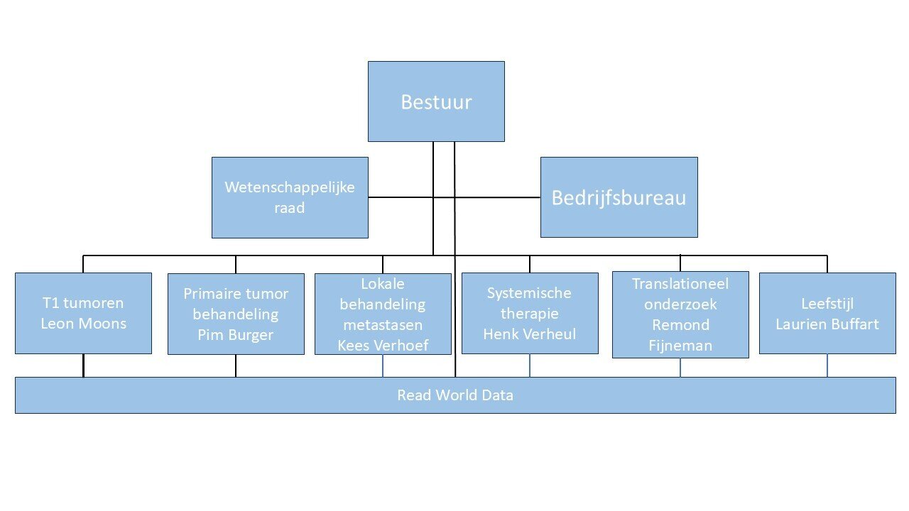 organogram-20241009-ned.jpg